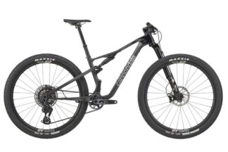 CANNONDALE Scalpel 29" Carbon 1 raw (S)